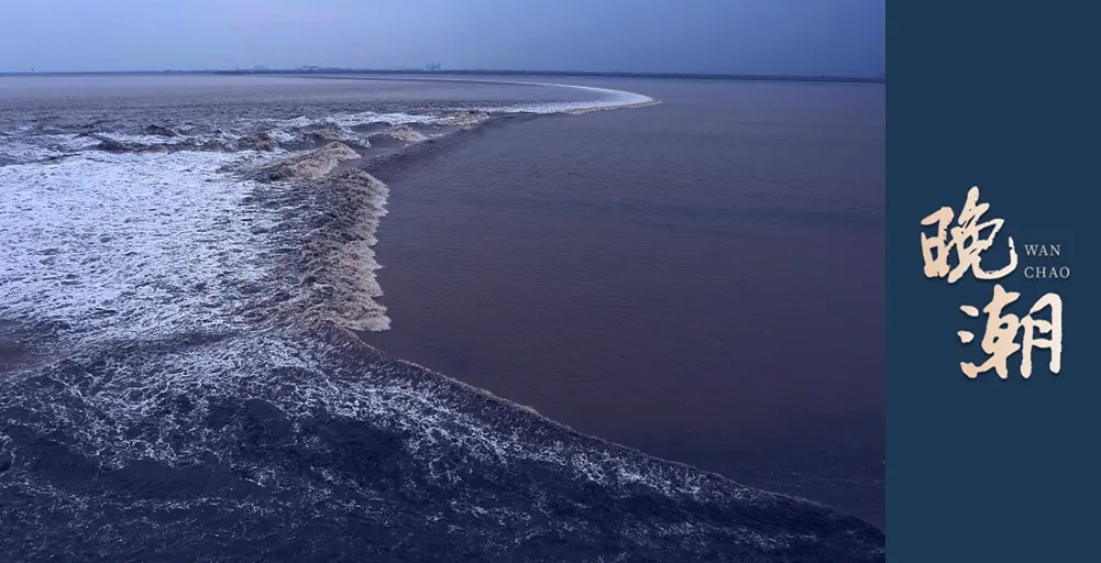 了中国男篮, 篮坛也是一, 一个亮点就 了中国男篮, 篮坛也是一, 一个亮点就